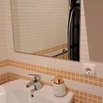 Mocan Wam Daire Palm-mar