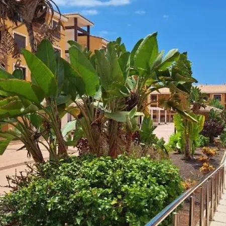 Apartment Mocan Wam Palm-mar