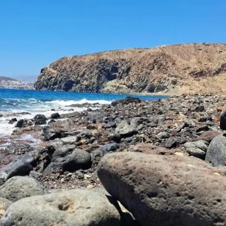 Mocan Wam * Palm-mar